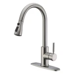 Wewe Faucet D01BNW Single Handle With Pull Down Sprayer Stainless. Fixed Price $98.00.