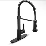 Aklfgn 1-HANDLE Pull Down Sprayer Kitchen Faucet Spring. Fixed Price $80.00.