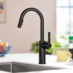 Moen Joric Deck-mount Pull-down Kitchen Faucet With Sprayer 87492BL. Fixed Price $148.00.