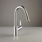 Hansgrohe 4505000 Focus 1.75 Gpm Pull-down Kitchen Faucet Chrome. Fixed Price $389.00.