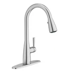 American Standardfairbury 2S Single-handle Pull-down Sprayer Kitchen Faucet. Fixed Price $56.99.