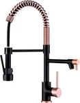 Elegant Copper & Black Kitchen Faucet With Pull-down Sprayer. Fixed Price $228.99.