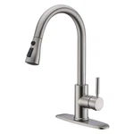 Wewe Single Handle High Arc Brushed Nickel Pull Out 01,. Fixed Price $135.99.
