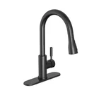 Garrick Single-handle Pull-down Sprayer Kitchen Faucet Matte Black. Fixed Price $39.99.