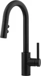Pfister LG572-SA Stellen 1.8 Gpm Hole Pull Down Bar Faucet. Fixed Price $279.79.