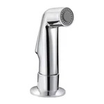 Basic Kitchen Faucet Side Sprayer With Guide In Polished Chrome. Fixed Price $19.09.