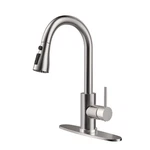 Hange Kitchen Faucet With Pull Down Sprayer,brushed Nickel. Fixed Price $50.69.