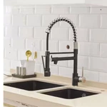 Flg Double Handle Kitchen Sink Faucet With Pull Down Sprayer Commercial Modern. Fixed Price $79.00.