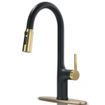 Kitchen Faucets, Black And Gold With Pull Down Sprayer, High A.... Fixed Price $79.84.