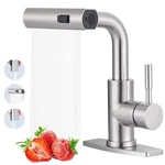 Aleasha Bar Sink Single Hole, 3 Water Modes Wet With Pull .... Fixed Price $75.47.
