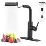 Kitchen Faucet Pull Down Sprayer Aleasha Waterfall 3 Function. Fixed Price $94.86.