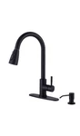 Wowow Black Kitchen Faucet With Soap Dispenser, Stainless Steel Sink .... Fixed Price $109.00.