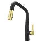Pfister GT529-ASR Asari 1.8 Gpm Hole Pull Down Kitchen Faucet Combo-matte. Fixed Price $199.99.
