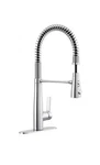 Kohler Vind Semi-pro Pull-down Kitchen Faucet Polished Chrome Finish. Fixed Price $99.99.