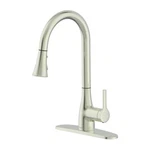 Flowclassic-bn Series Single-handle Standard Kitchen Faucet Brus. Fixed Price $49.99.