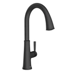 9319310.243 American Standard Renate Single Handle Pulldown Kitchen Faucet;. Fixed Price $389.35.