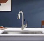 Kohler K-30469-VS Rival 1.5 Gpm Single Hole Pull Down Kitchen Faucet Vibrant Sta. Fixed Price $159.00.