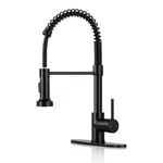 Kitchen Faucets With Pull Down Sprayer Matte Black - Dual Mode Setting Single Ha. Fixed Price $42.49.
