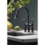 Elkay Explore LKEC2037AS Antique Steel Double Lever Pull Down Kitchen Faucet. Fixed Price $849.95.