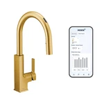 Moen S72308EVBG Sto, Brushed Gold. Fixed Price $347.58.