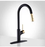 Achelous Kitchen Faucet Black And Gold Pull Down Sprayer. Fixed Price $79.99.