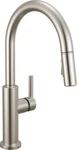 Delta 19867LF Nicoli 1.8 Gpm Hole Pull Down Kitchen Faucet - Brilliance. Fixed Price $229.92.