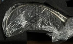 Delta T2775-SS Leland 3 Hole Roman Tub Filler Faucet Trim Stainless. Fixed Price $79.50.