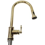 Signature Hardware 434084 Southgate Pull-down Kitchen Faucet Polished Brass. Fixed Price $219.90.