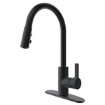 Sydney Singlehandle Pull Down Sprayer Multi Function Head Matte Black By Runfine. Fixed Price $46.64.