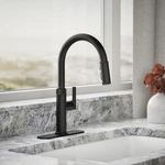 *new In Box Kohler Lathe Black Pull Down Kitchen Faucet + Boost Spray R31627-BL. Fixed Price $200.00.