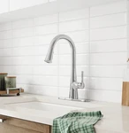 American Standard 7441300.075 Southport Pull-down Kitchen Faucet Sprayer. Fixed Price $139.99.