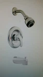 Moen Adler Chrome 1-HANDLE Watersense Bathtub Shower Faucet With Multi-funct. Fixed Price $60.83.