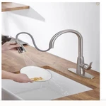 Forious Kitchen Faucets, Brushed Nickel Sink With Pull Down Spray. Fixed Price $38.99.