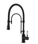 Waterpar Single Handle 21" Kitchen Faucet W/ Dual Function Matte Black JK0171. Fixed Price $139.99.