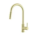 Elegant Lighting FAK-306BGD Kitchen Faucet. Fixed Price $62.34.