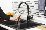 Tuscany Sharena Single Handle Pull Down Black Kitchen Faucet 1.8 Gpm Standard Fi. Fixed Price $135.95.