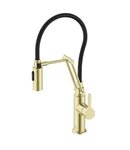 Elegant Lighting FAK-304 Leonardo 1.8 Gpm Hole Pull Down Gold. Fixed Price $188.42.