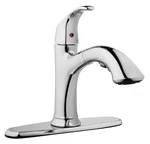 Kitchen Faucet With Pull-out Spray, Single Loop Handle, Chrome 242107. Fixed Price $205.21.