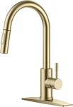 Brushed Champagne Gold Kitchen Faucet With Pull Down Sprayer For Any Sink. Fixed Price $100.99.