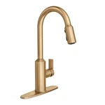 Moen Meena One Handle Kitchen Faucet With Pull Down Sprayer, High Arc. Fixed Price $219.89.