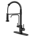 Appaso Pull-down Kitchen Faucet, Drinking Water, Lead-free, Matte Black. Fixed Price $17.99.