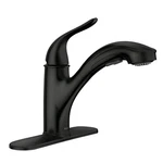 Moen 87557BL Brecklyn Single Handle Pull Out Sprayer Kitchen Faucet. Fixed Price $49.99.