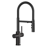Blanco 442990 Catris Filter-ready 1.5 Gpm Hole Pre-rinse Pull Black. Fixed Price $690.90.
