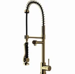 Vigo VG02007MG Zurich Single-handle Pull-down Sprayer Kitchen Faucet, Matte Gold. Fixed Price $249.99.