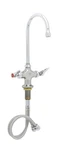 Ts Brass B-0300-CR Double Pantry Faucet, Single Hole Base, Swivel/rigid Goose.... Fixed Price $316.76.